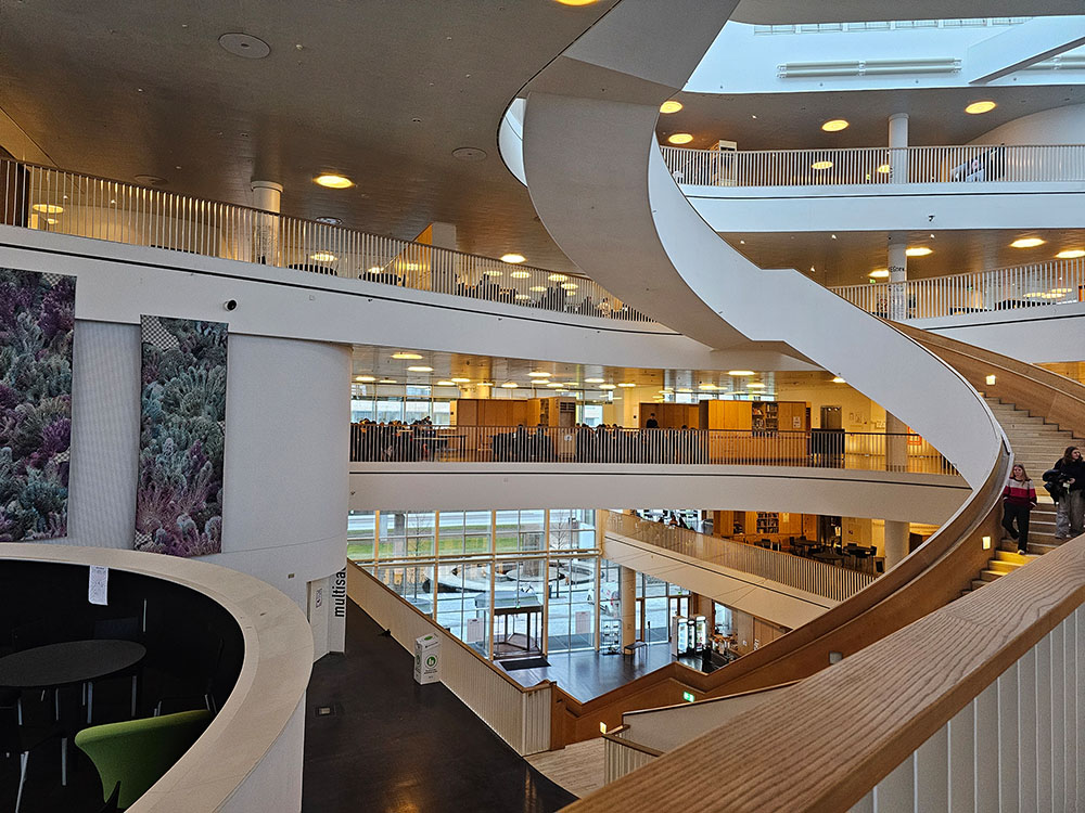 Jobshadowing_erasmus_kopenhagen_orestad_gymnasium_HLW_FSB_Weiz_2024_15